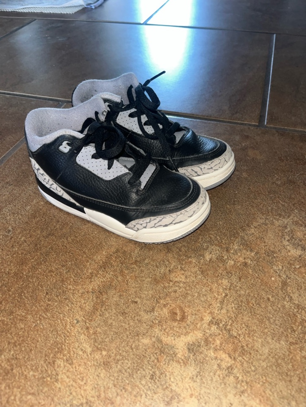 Air Jordan 3s